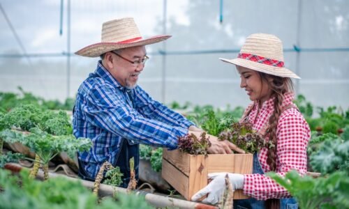 asian-farmers-happiness-holding-fresh-organic-vege-2023-11-27-04-55-53-utc