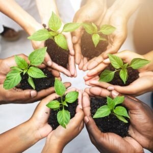 Cropped shot of a group of unrecognizable people holding plants growing out of soil.