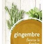 PIRAMIDE gingembre Bio (20pc)