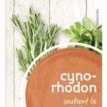 PIRAMIDE cynorrhodon Bio (20pc)