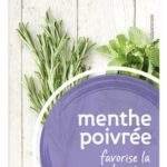PIRAMIDE menthe poivrée Bio (20pc)
