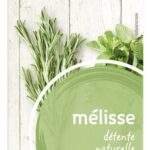 PIRAMIDE mélisse Bio (20pc)