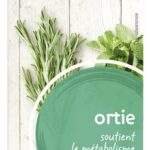 PIRAMIDE ortie piquante Bio (20pc)