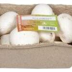 Champignons blancs Bio (400g)