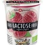 BIEDERMANN yaourt framb.s.lact.Bio (200g)