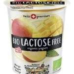 BIEDERMANN yaourt s.lact.mangue Bio (200g)