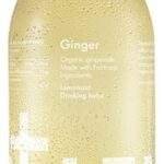 LEMONAID Ginger Bio (33cl)