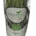 HERBIO Thym en pot Bio
