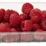 Framboises ravier Bio (125g)