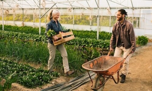 agriculture-2023-11-27-05-06-49-utc