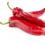 bio poivron pointu doux rouge (±500g)