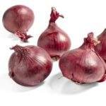 oignons rouges Bio P (±1kg)
