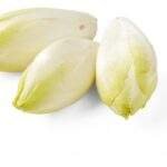 Chicons Bio (±500g)