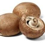 Portobello Bio (±300g)