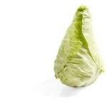 chou pointu Bio (1pc)