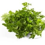 bio persil plat botte (1pc)