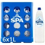SPA REINE eau plate verre (6x1L)