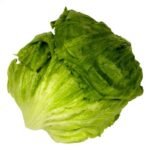 Bio Laitue iceberg 1pc