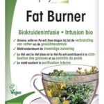 PHYSALIS Fat Burner infusion Bio 20pc