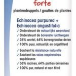 PHYSALIS echinacea forte gouttes 100ml