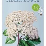 FRUJI Fleurs de sureau Bio 25cl