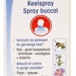 PHYSALIS Eucalyforce spray bucc.Bio 30ml