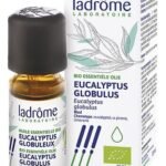 LADROME eucalyptus globul.huil.ess. 10ml