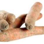 Carottes Carottes non lav. Bio ±1kg