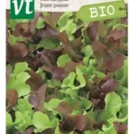 VT bio mix laitue mesclun