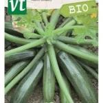 VT bio courgette
