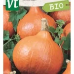 VT bio potimarron