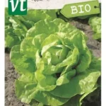 VT bio laitue