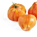 Tomate Coeur de boeuf BIO (1kg)