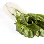 Bio Pak Choi