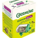 GERMLINE Germline germoir en verre