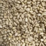 Pignons de pin Bio (100g)