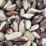 Noix de Brésil Bio (100g)