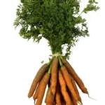 Carottes botte Bio