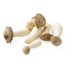 Eryngii Bio (300g)
