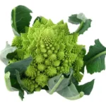 Romanesco Bio