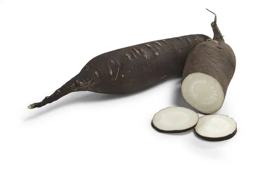 Bio Radis noir (1kg)
