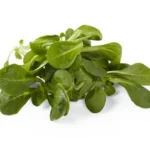 Salade Mache Bio (150g)
