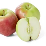 Pommes Elstar bio (1kg)