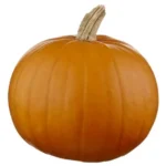 Potiron Halloween Bio (1pc)